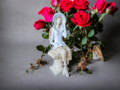 Figurka anioła Megan - biała -  20 x 9 cm figurka dekoracyjna