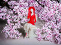 Figurka anioła Megan - czerwona -  20 x 9 cm figurka dekoracyjna