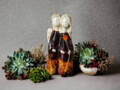Figurka aniołów Apple & Ella Art 7 - brąz -  18 x 10 cm figurka dekoracyjna